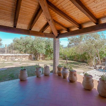 B&B Pettirosso Garden San Teodoro  Εξωτερικό φωτογραφία