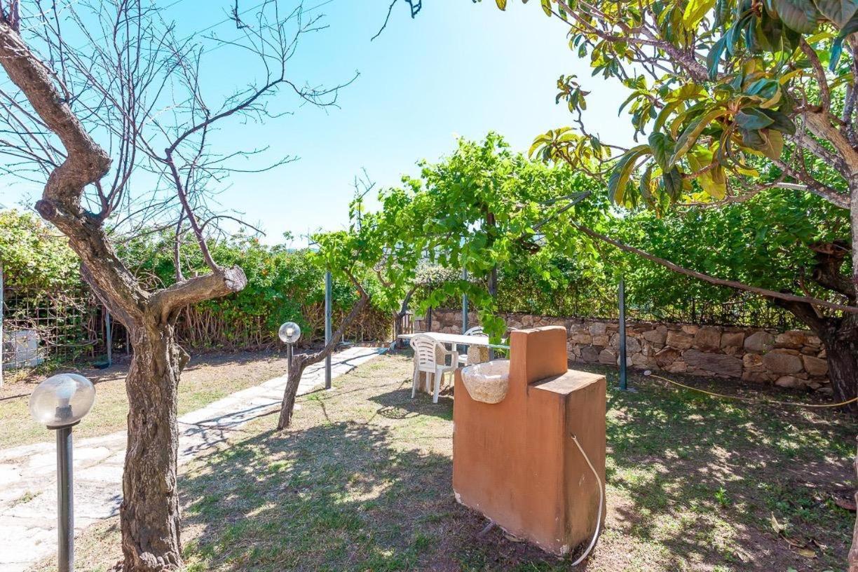 B&B Pettirosso Garden San Teodoro  Εξωτερικό φωτογραφία