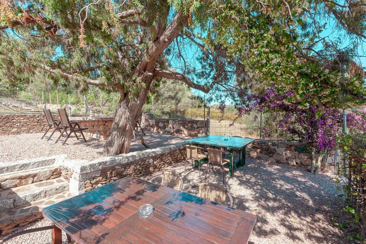 B&B Pettirosso Garden San Teodoro  Εξωτερικό φωτογραφία