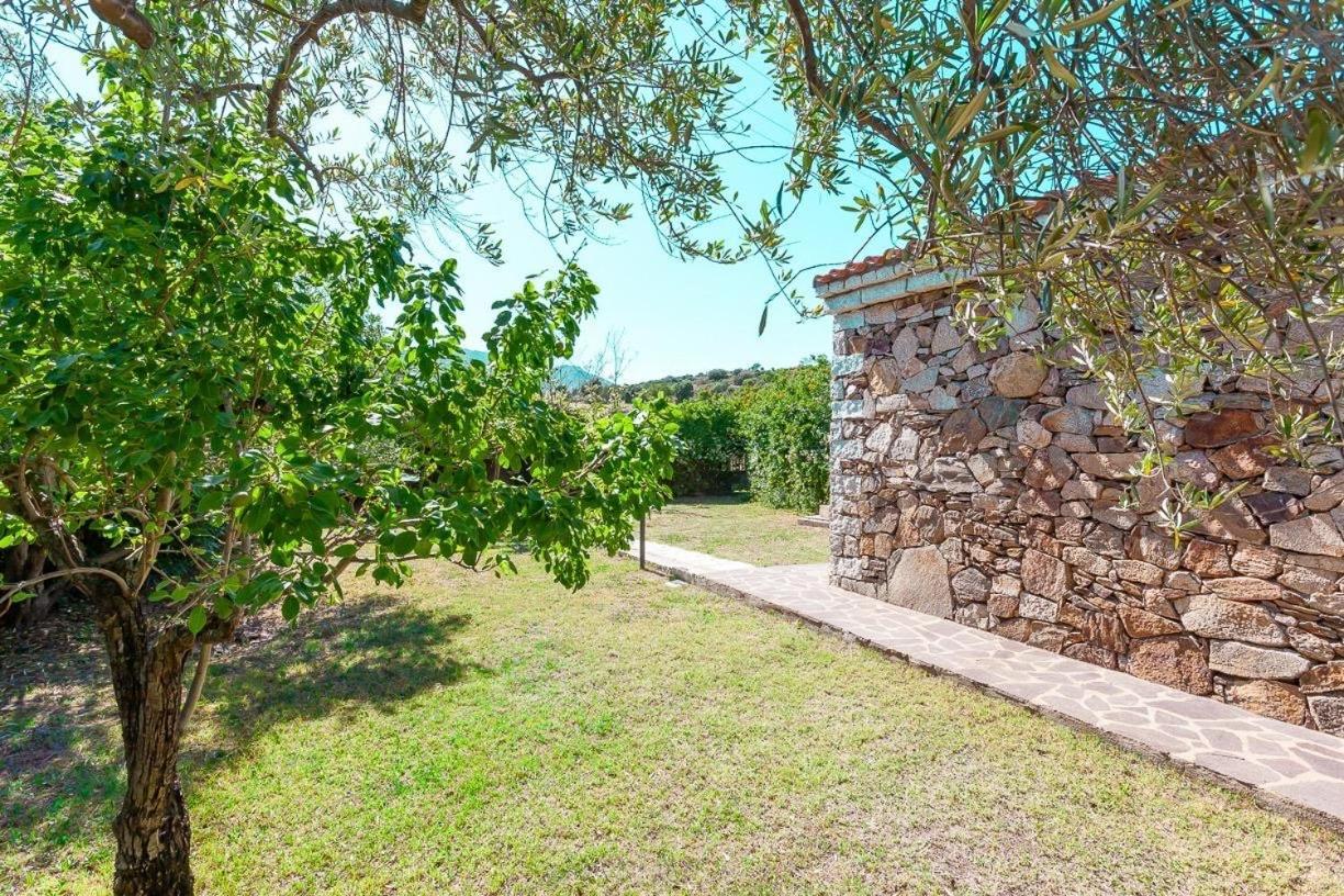 B&B Pettirosso Garden San Teodoro  Εξωτερικό φωτογραφία