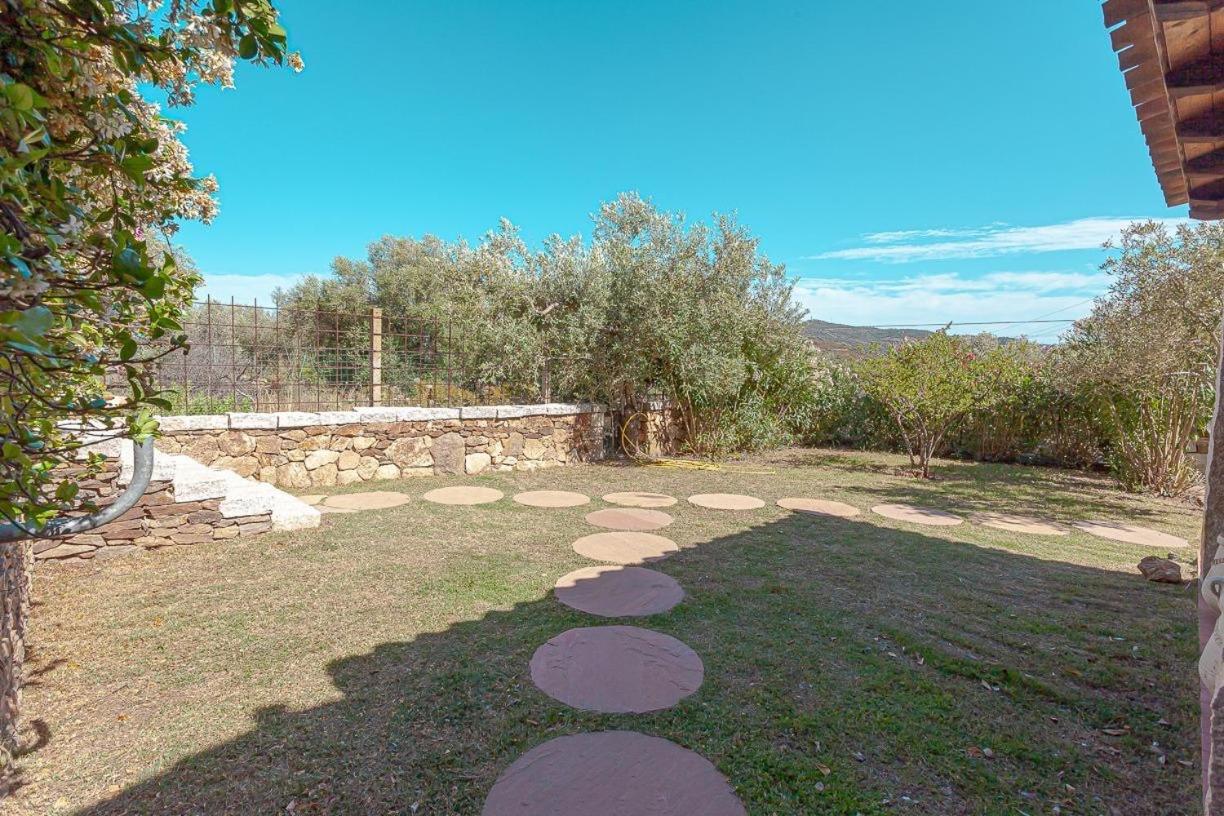 B&B Pettirosso Garden San Teodoro  Εξωτερικό φωτογραφία