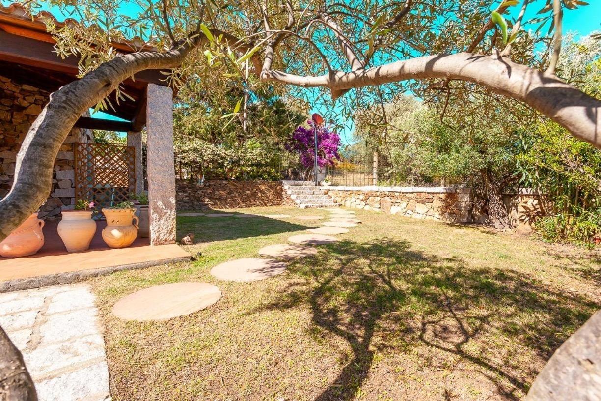 B&B Pettirosso Garden San Teodoro  Εξωτερικό φωτογραφία