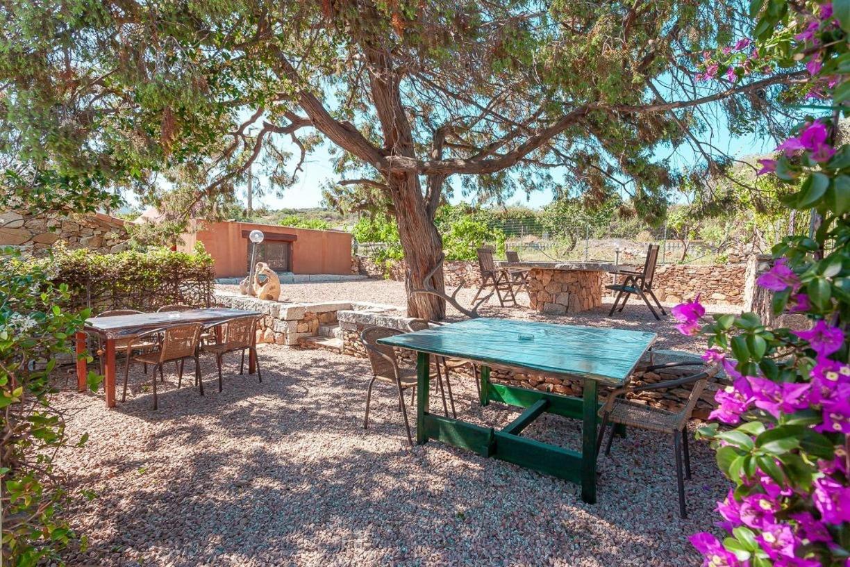 B&B Pettirosso Garden San Teodoro  Εξωτερικό φωτογραφία