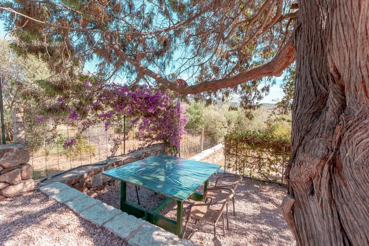 B&B Pettirosso Garden San Teodoro  Εξωτερικό φωτογραφία