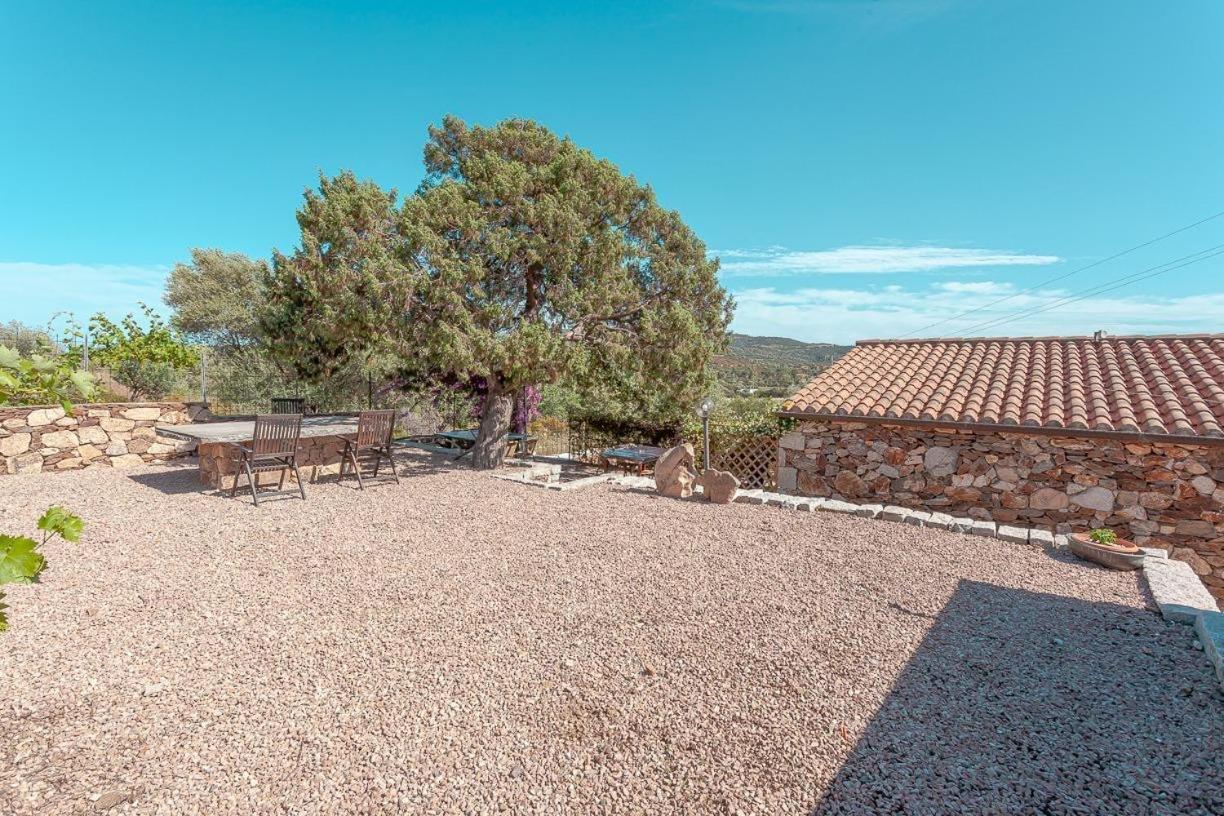 B&B Pettirosso Garden San Teodoro  Εξωτερικό φωτογραφία